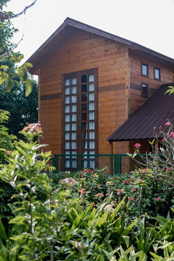 The Pine Loft Villa Bangalore Exterior photo